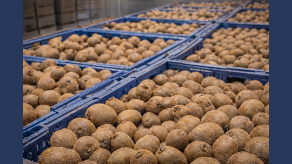 Fresh produce.jpg